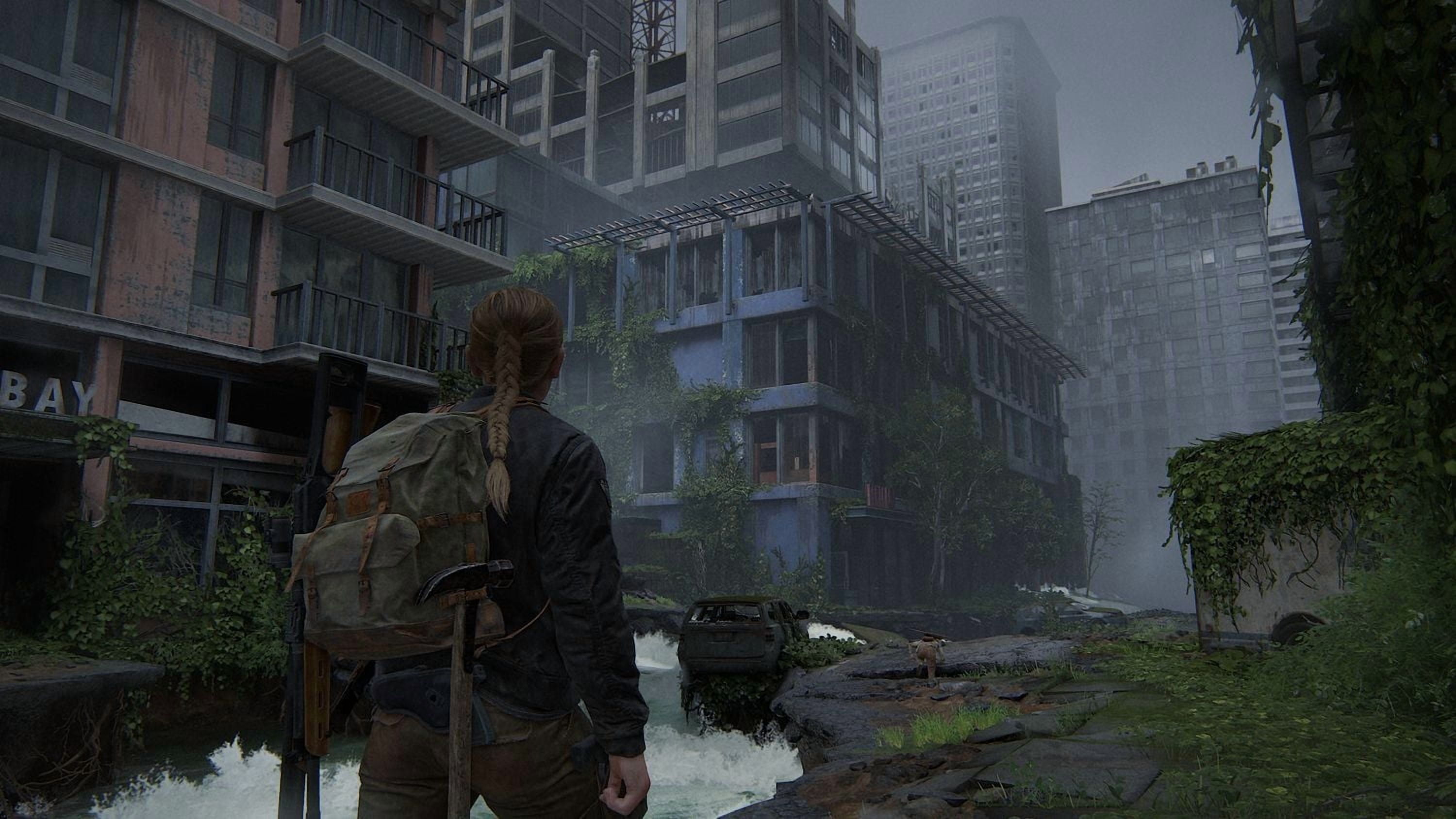 The Last of Us Part II Remastered (PlayStation 5), SOFTWARE