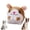 Hamsters, variant on Jiexily Active Moving Pet Plush Toy, 2026 New Squeaky Moving Dog Ball Toy Interactive Puppy Toys, Rechargeable Cartoon Plush Bounce Talking Toys to Keep Them Busy (Duck)