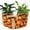 Round-Halloween, variant on Printed Plastic Flower Pots with Drainage Hole and Tray Saucer, Planter Pots for Indoor Outdoor Garden Plants and Flowers, Modern Decorative Gift Idea 10*8.5cm,Set of 2pcs