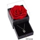 thumbnail image 5 of Caja de joyería de oso con flores rosas eternas para mujer Ehuebsd con Collar romántico San Valentín cumpleaños día de boda regalos para madre y novia, 5 of 5