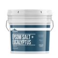 thumbnail image 1 of Sal de Eucalipto Epsom Earthborn Elements, 3,78 L, pura y sin diluir, 1 of 6