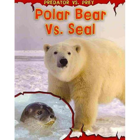 Bears Vs Babies Kamisco