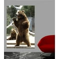 thumbnail image 2 of Wallhogs Bear I Glossy Wall Mural, 2 of 2