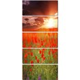thumbnail image 2 of Wild Poppy Flowers At Cloudy Sunset - Large Flower Canvas Art Print, 2 of 3