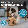 thumbnail image 4 of Outward Hound Hide-A-Squirrel Dog Toy – Interactive 2‑in‑1 Plush Puzzle with 3 Squeaky Removable Squirrels, Medium, 4 of 4