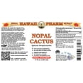 thumbnail image 2 of Nopal Cactus (Optunia Streptacantha) Dry Whole Cactus Liquid Extract. Expertly Extracted by Trusted HawaiiPharm Brand. Absolutely Natural. Proudly made in USA. Tincture 4 Fl.Oz, 2 of 3