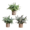 thumbnail image 4 of 3 piezas de plantas artificiales Strade Fareast Limited en maceta decorativas 8 cm x 8 cm, 4 of 8