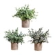 thumbnail image 4 of 3 piezas de plantas artificiales Strade Fareast Limited en maceta decorativas 8 cm x 8 cm, 4 of 8