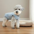 thumbnail image 2 of predolo Traje Antiacoso para Perro Macho Transpirable y Elástico Pantalón Fisiológico para Perro Secado Rápido Traje de Recuperación de Cirugía, 2 of 10