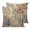 Rust, Slate, Ochre, Steel, variant on Pillow Covers 18x18 Set of 2, Abstract Burnt Orange Throw Pillow Covers Decorative Couch Cushion Cover, Brown Beige Vintage Artwork Microfiber Soft Square Pillowcases for Bedroom Living Room Sofa