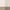 Light Coffee, variant on DRMHM PVC Placemats Set of 8, Placemats for Kitchen Dining Table Decor Washable Heat Resistant Table Placemats Wipeable Place Mat Green 18*12in