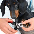 thumbnail image 5 of Pet nail trimmer clipper made of stainless steel for pet care of dogs, cats, rabbits, rabbits etc., 5 of 5