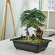 thumbnail image 4 of Hytrove Maceta De Plástico Para Plantas De Exterior Con Y, 4 of 7
