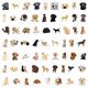 thumbnail image 2 of Pegatinas de vinilo impermeable con forma de labrador, perro, perro, 60 unidades, 2 of 5