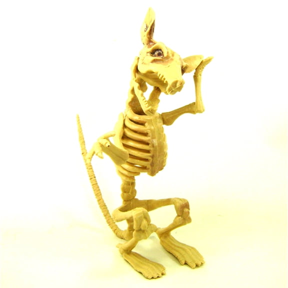 RAT SKELETON Bones Decor Creepy Party Decoration Eerie Accessories