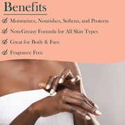 Palma Christi Skin Lotion (Unscented)