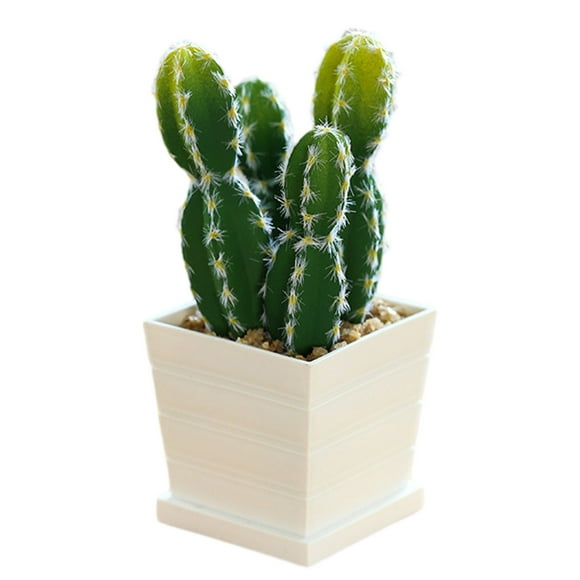 Simulation of tropical plants, bonsai cactus, indoor creative small ornaments, green plants, potted cactus