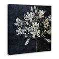 thumbnail image 3 of Stupell Industries Transitional White Herb Blooms Canvas Art, 17 x 17, by Patricia Pinto, 3 of 8