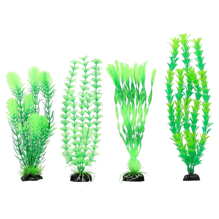 Vibrant Life Large/X-Large Plant Set, Green, 4 Pieces photo 3