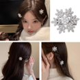 thumbnail image 2 of Snowe Hair Clips Wedding Bridal Bangs Hair Clip Accory Ladies Hair, 2 of 8