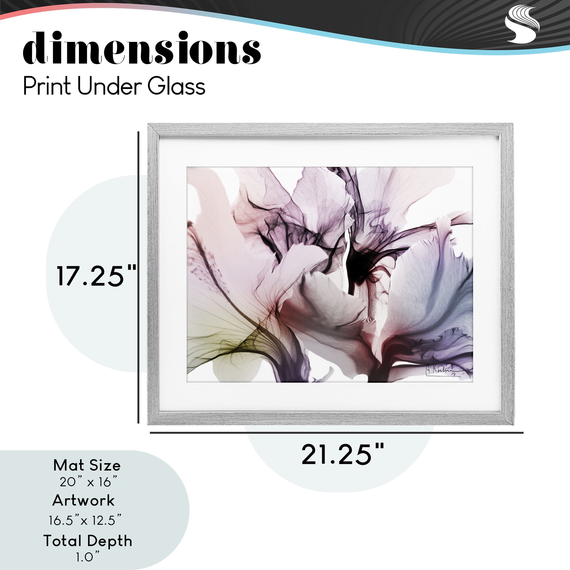 Stupell Industries Brilliant Song Flower Petals Gray Framed Print Under Glass, design by Albert Koetsier