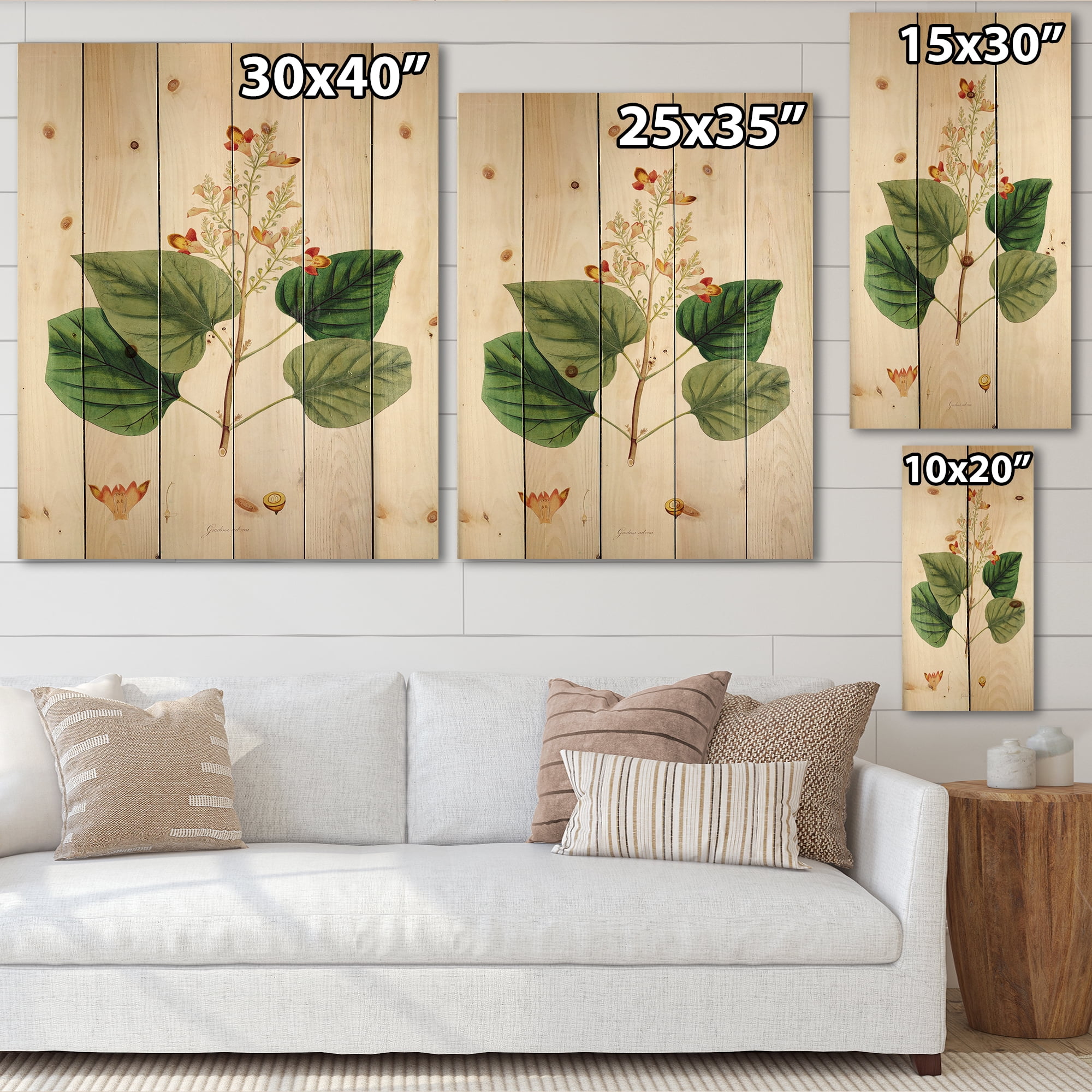 Designart 'Ancient London Plants XII' Farmhouse Print on Natural Pine Wood