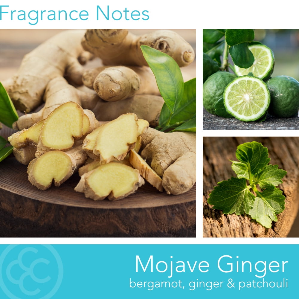 Colonial Candle Mojave Ginger 14.5 oz 3 Wick Candle, Multicolor