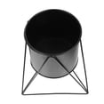 thumbnail image 3 of Niceauty 1Pc Home Flowerpot Rack Iron Plant Pot Display Stand for Indoor Decor, 3 of 5