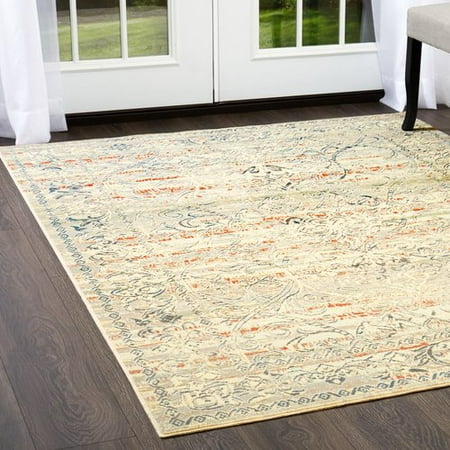 Shabby Chic Cream Area Rug (Best Paint For Shabby Chic Furniture)