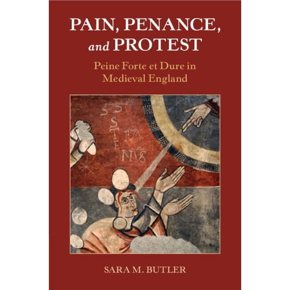 Studies in Legal History Pain, Penance, and Protest, (Paperback)