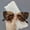 Golden Tea, variant on 2026 Metal Small Frame Cat Eye Sunglasses for Women, European and American Street Style, Unisex