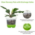 thumbnail image 4 of 24 Packs 4 inch Clear Nursery Pots with Silicone Base for Easy Transplant, Jorking Plastic Seed Starter Seedling Pots for Plant Germination, 4 of 6