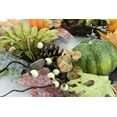 thumbnail image 2 of Admired By Nature GFW6002-NATURAL Fall Wreath, 24-Inches, Orange, 2 of 5