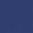 thumbnail image 1 of 3006 Tissu Polyuréthane 100 pour Cent, Royal, 1 of 1