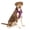 Deep Violet, variant on Kurgo Enhanced Strength Tru-Fit Smart Dog Harness, Deep Violet, Medium - Crash Tested Car Safety Harness for Dogs, No Pull Dog Harness, Includes Pet Safety Seat Belt Tether, Steel Nesting Buckles