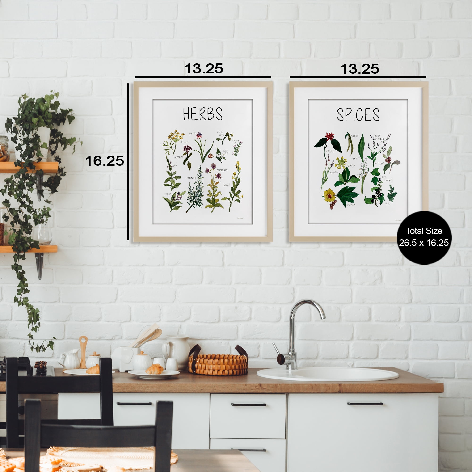 Stupell Industries Culinary Herbs & Spices 2 Piece Birch Framed Print Under Glass Set, design by Carol Robinson