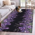 thumbnail image 2 of Rectangle Rug 3x5ft Area Rug,Spring Purple Lavender Flower Area Rugs for Living Room Bedroom,Watercolor Floral on Black Floor Mat Non-Slip Non-Shedding Carpet Indoor Accent Rugs, 2 of 9