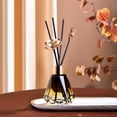 thumbnail image 3 of 2Pcs 60ml/2oz Reed Diffuser Bottles Empty Refillable Glass Diffuser Jars Aromatherapy Container Fragrance Accessories Use for DIY Replacement Reed Diffuser Sticks Home Bathroom Decor, 3 of 6