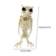 thumbnail image 5 of Dserhfy Halloween Skeleton Owl Decoration Realistic 12" Skeleton Animal Figure Plastic Owl Bone Model for Haunted House Party Decor, 5 of 8