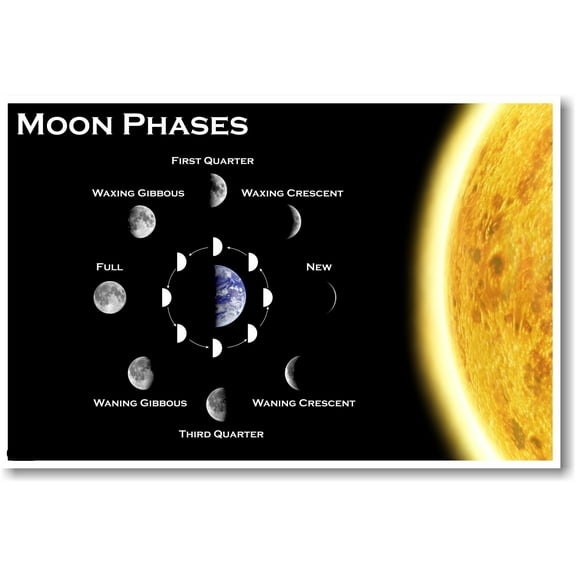 Moon Phases - Classroom Science Poster