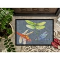 thumbnail image 3 of Carolines Treasures 8878MAT Paillasson Intérieur Ou Extérieur - 18 x 27 Po., 3 of 4