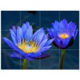 thumbnail image 1 of Flowers Ceramic Tile Mural Kitchen Backsplash Bathroom Shower 402314-M43, 1 of 3