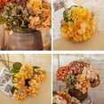 thumbnail image 3 of Hydrangea Dried Flower Green for Home and Decoration, 3 of 3