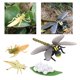 thumbnail image 4 of Mariposa de Modelo CUTICAT Juguete de Enseñanza Temprana 8 Piezas, 4 of 8