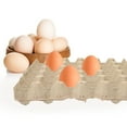thumbnail image 2 of FRCOLOR  5 Pcs Egg Cartons Cardboard Bulk Storage Pulp Tray, 2 of 8