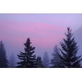 thumbnail image 2 of Paulson, Don 32x23 Black Ornate Wood Framed with Double Matting Museum Art Print Titled - Canada, BC, Mt Robson PP Foggy sunrise scenic, 2 of 4
