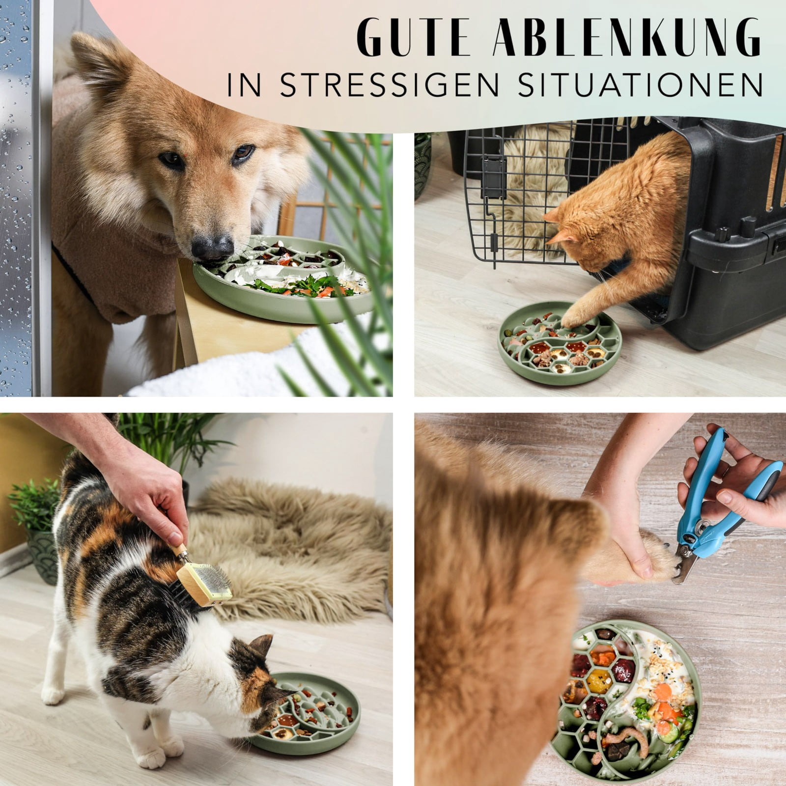 Schling Napf Für Hunde Katzen I Slow Feeder I Leckmatte Hund Mit Großem Saugnapf I Schleckmatte Katze Für Nassfutter Trockenfutter High-quality