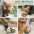 thumbnail image 6 of Schling Napf Für Hunde Katzen I Slow Feeder I Leckmatte Hund Mit Großem Saugnapf I Schleckmatte Katze Für Nassfutter Trockenfutter High-quality, 6 of 8