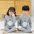thumbnail image 2 of Conjunto de pijamas de dibujos animados para niños y niñas, ropa de dormir de Totoro, traje de dormir de algodón, ropa infantil, 2 of 4