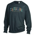 thumbnail image 2 of Unisex ComfortWash Gray South Carolina Gamecocks Oversized Pullover Sweatshirt, 2 of 3